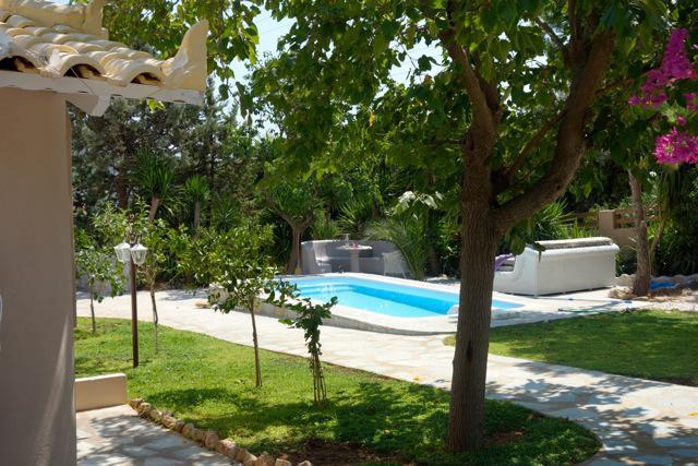 Villa Dendron Agia Marina  Esterno foto